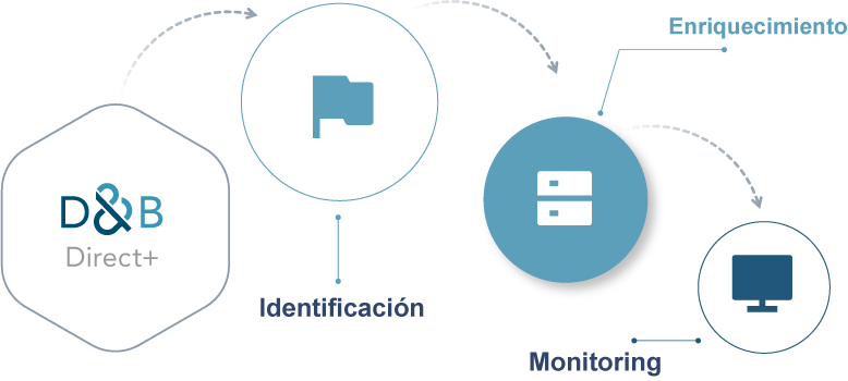 What services does the D&B Direct+ platform offer?