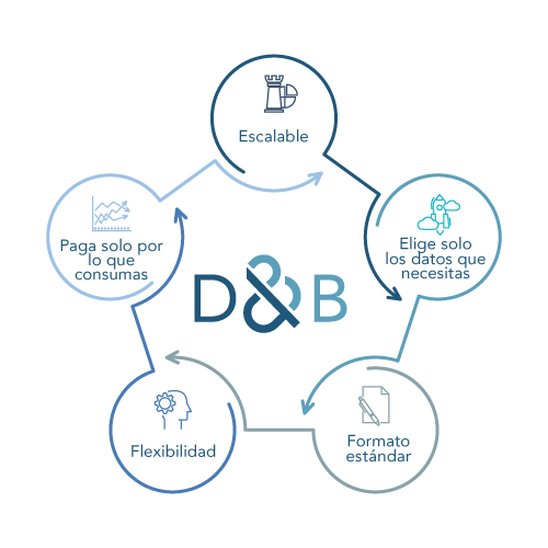 Advantages of D&B Direct+ integration: