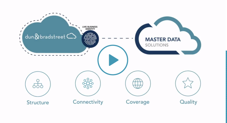 Master Data Management Services